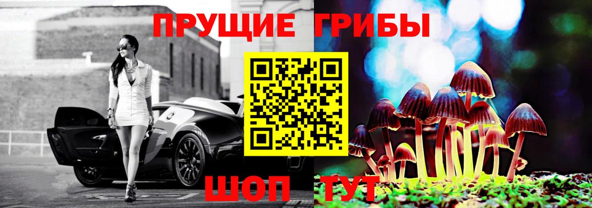 Галлюциногенные грибы мицелий Долгопрудный
