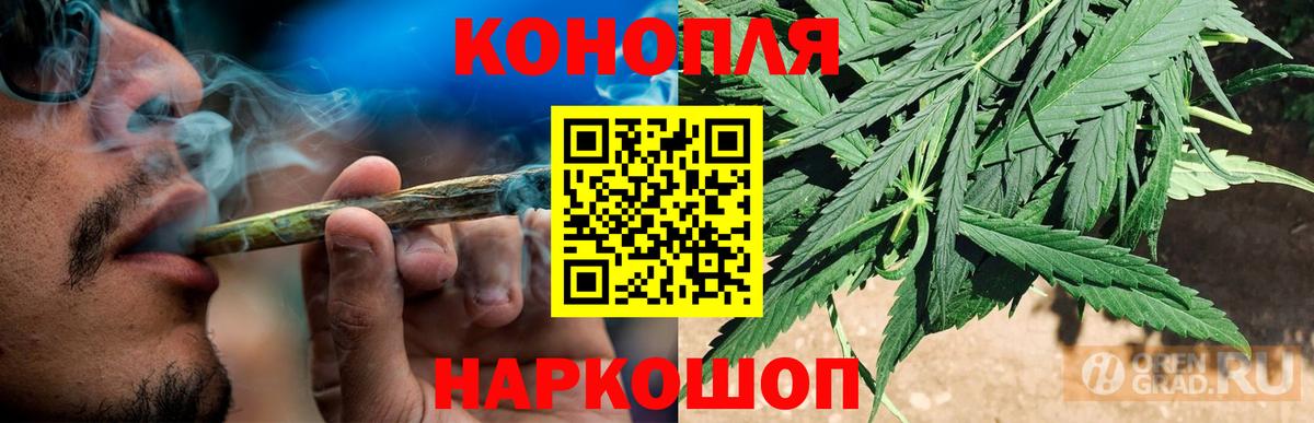 Бошки Шишки Amnesia Долгопрудный